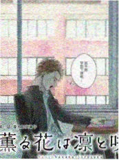 雨与铁 日韩电影在线观看封面